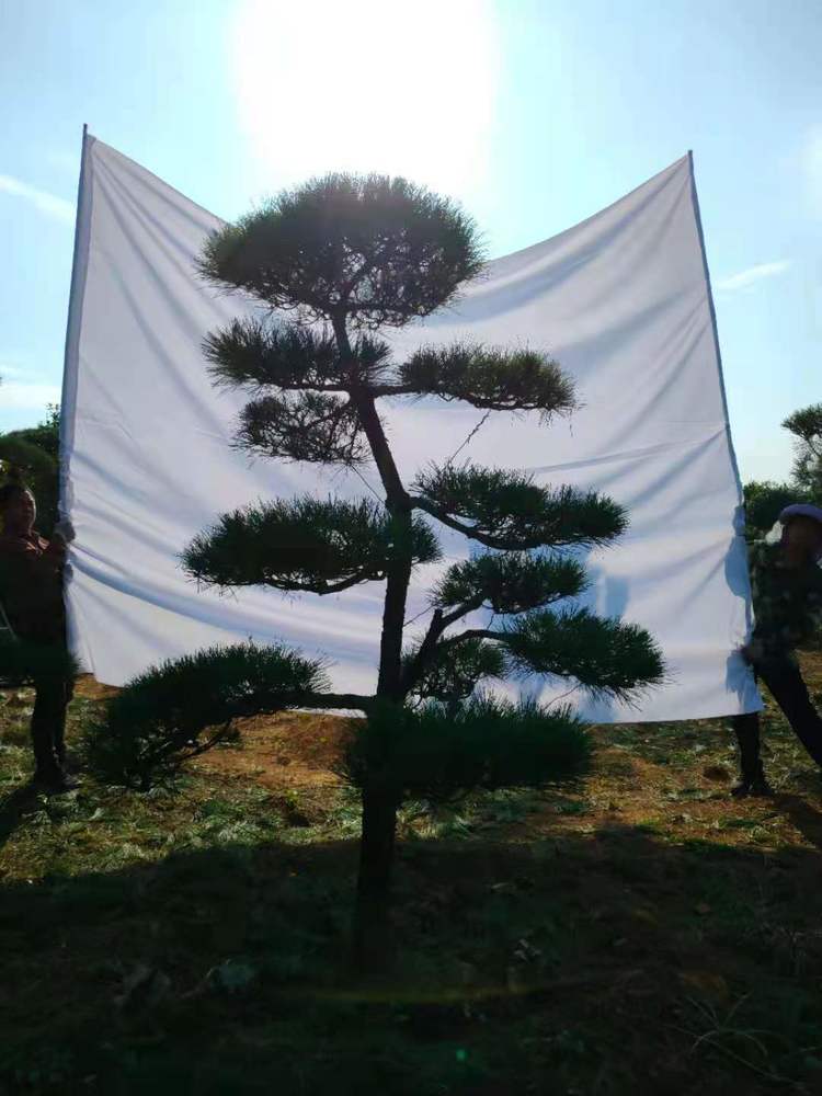 微(wēi)信圖片_20210429211407.jpg