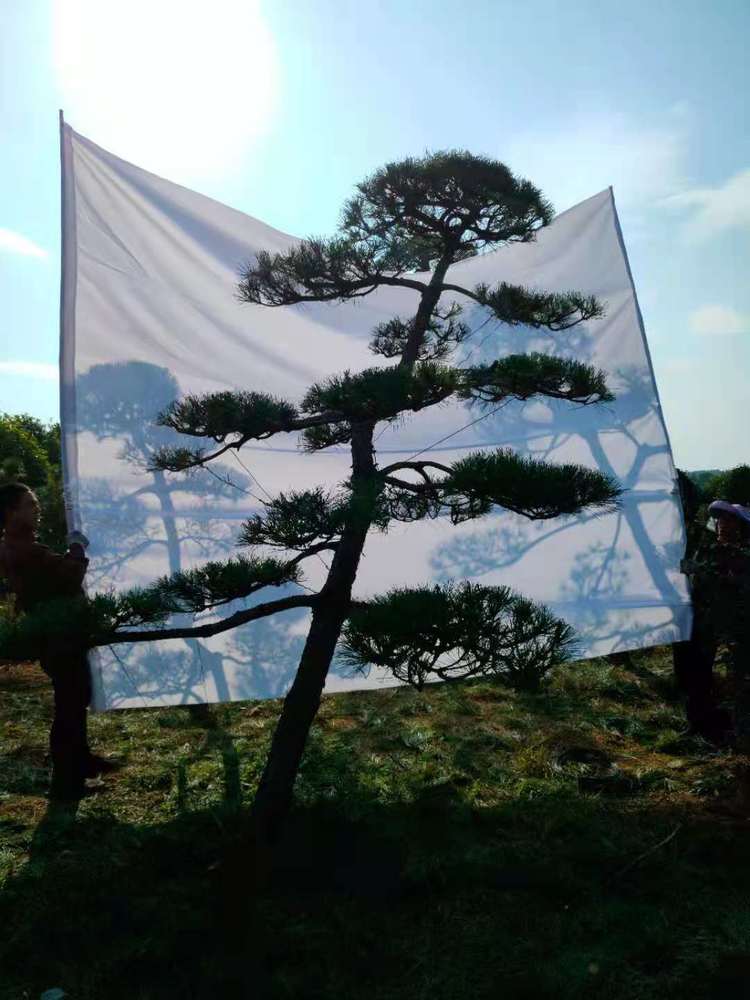 微(wēi)信圖片_20210429211413.jpg