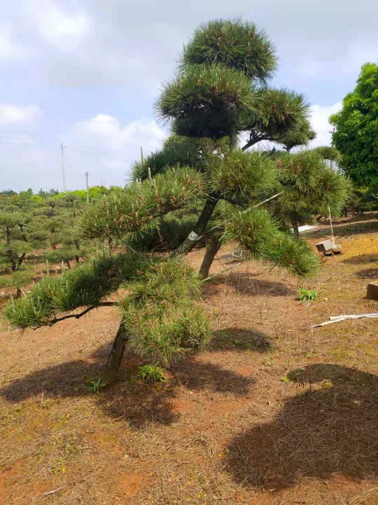 微(wēi)信圖片_20210426144612.jpg