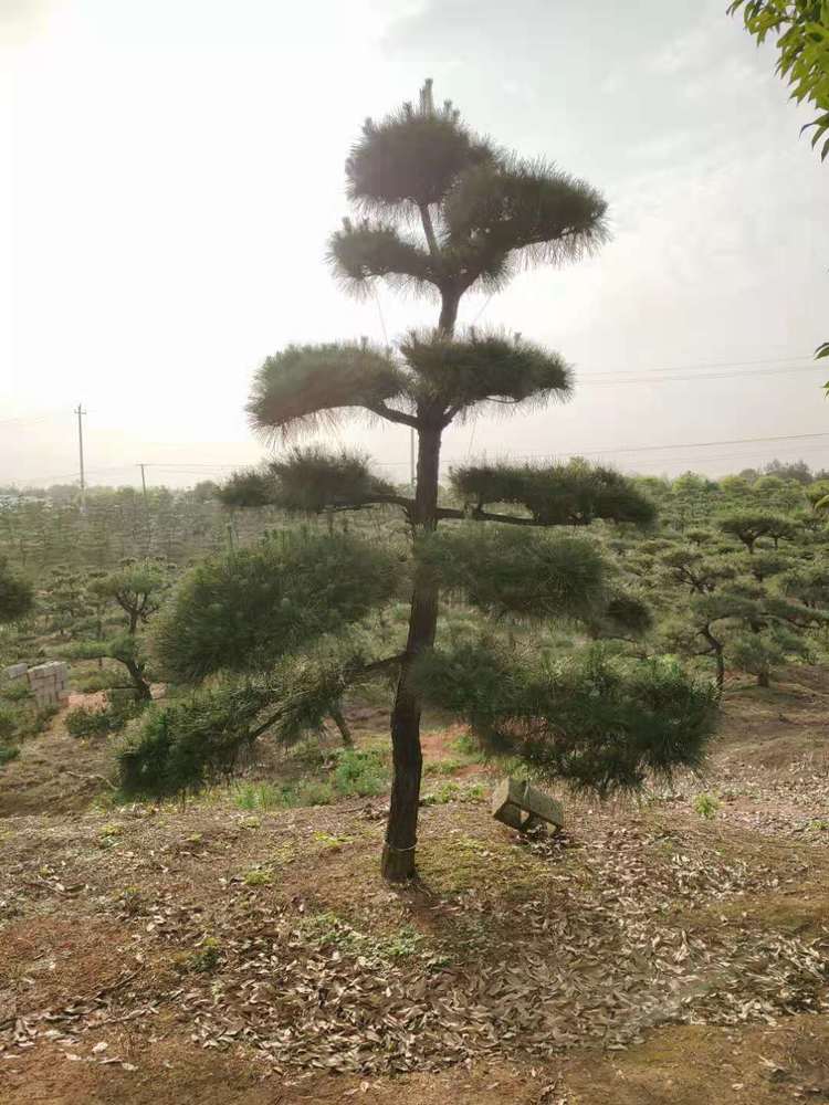 微(wēi)信圖片_20210505214007.jpg