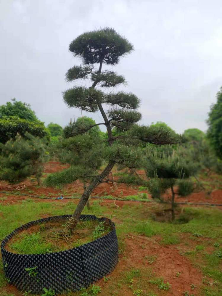 微(wēi)信圖片_20210505214023.jpg