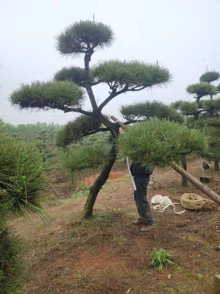 微(wēi)信圖片_20210505214020.jpg