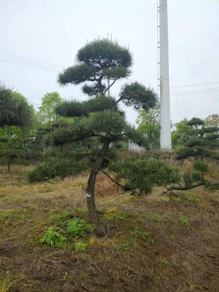 微(wēi)信圖片_20210426144628.jpg