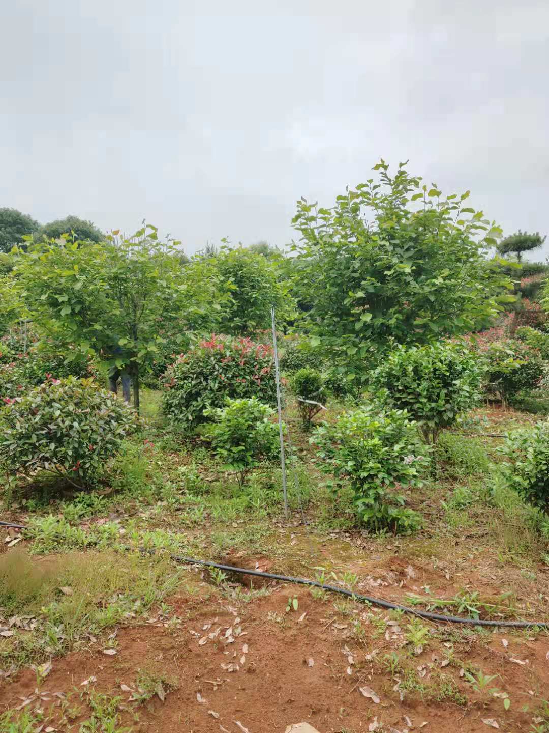 微(wēi)信圖片_20210610201202.jpg