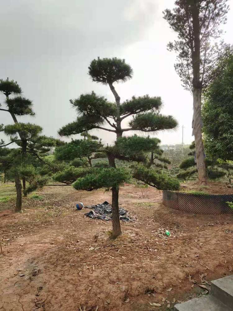 微(wēi)信圖片_20210505214011.jpg