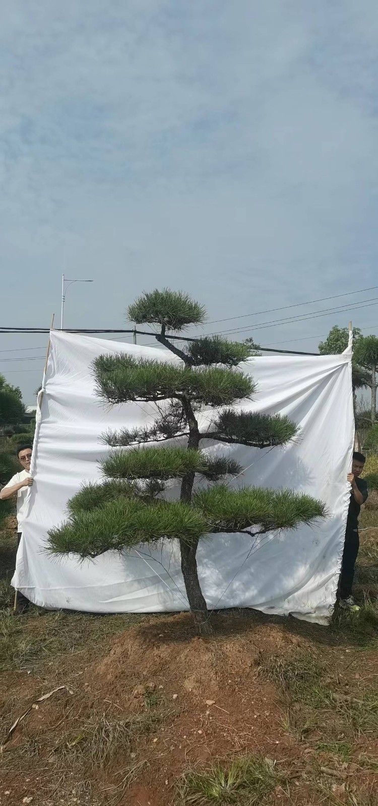 微(wēi)信圖片_20221202115235.jpg