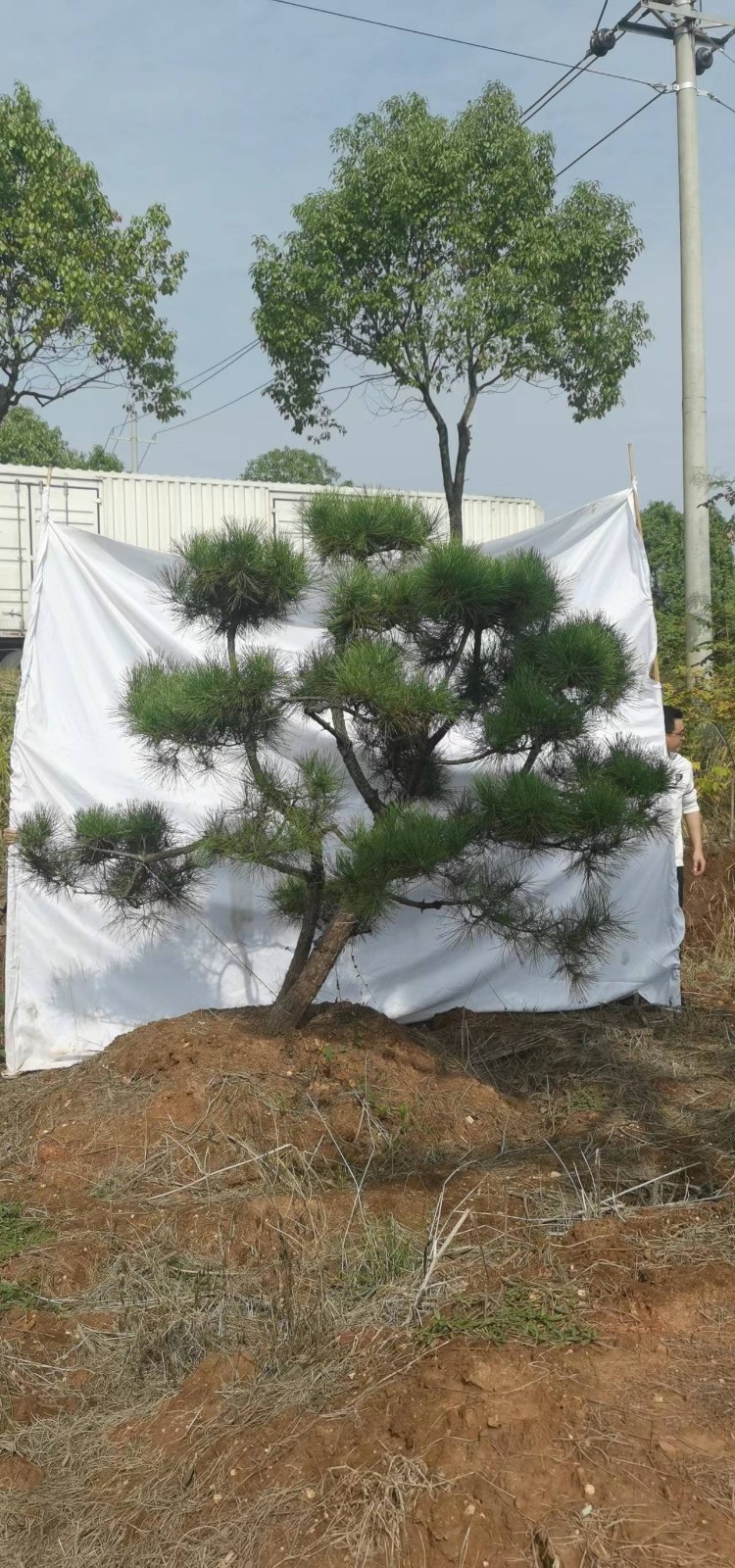 微(wēi)信圖片_20221202115254.jpg