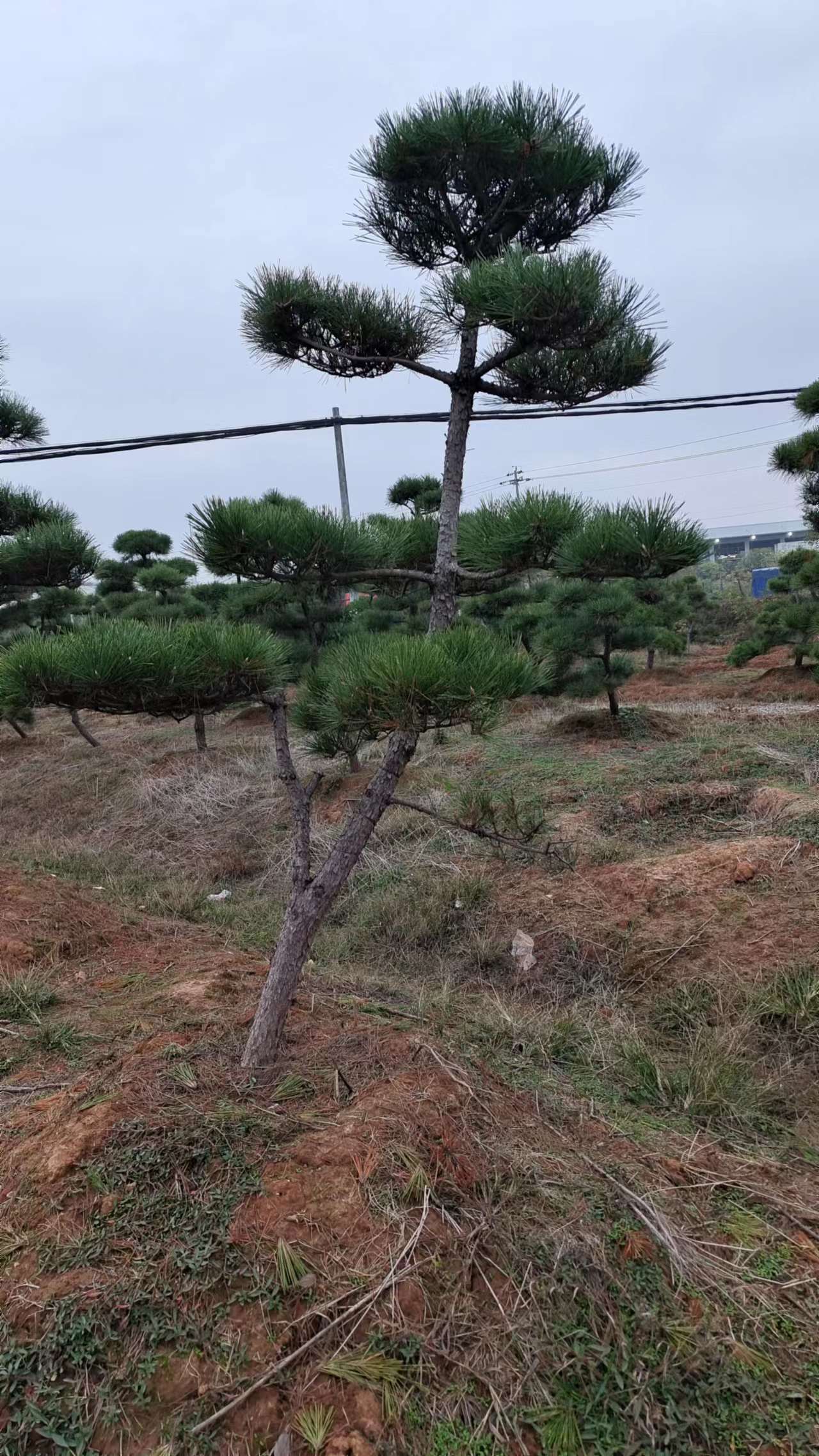 微(wēi)信圖片_20221202115358.jpg