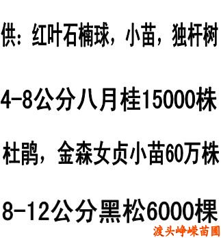 2011年(nián)12月(yuè)湖(hú)南(nán)花(huā)木(mù)報(bào)價