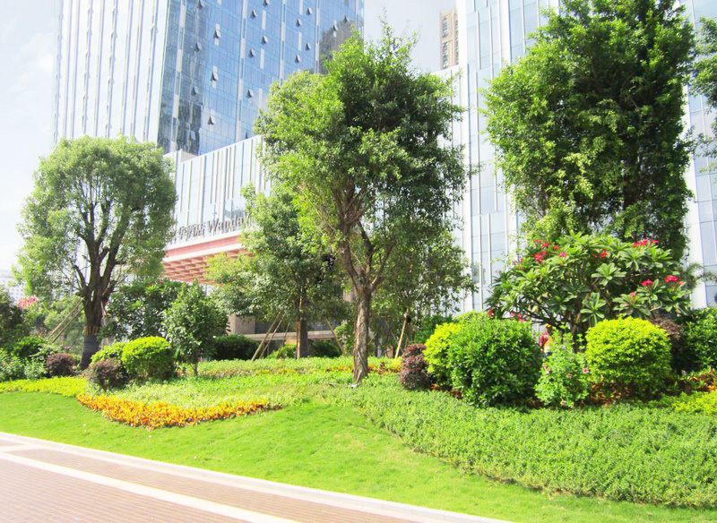 客戶實景效果