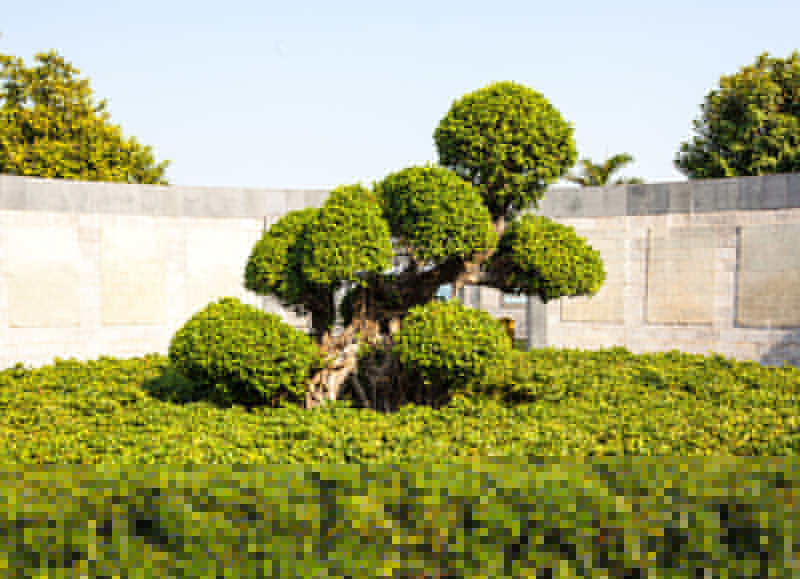 客戶實景效果